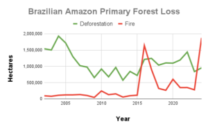 MAAP #229: Amazon Deforestation & Fire Hotspots 2024 - MAAP