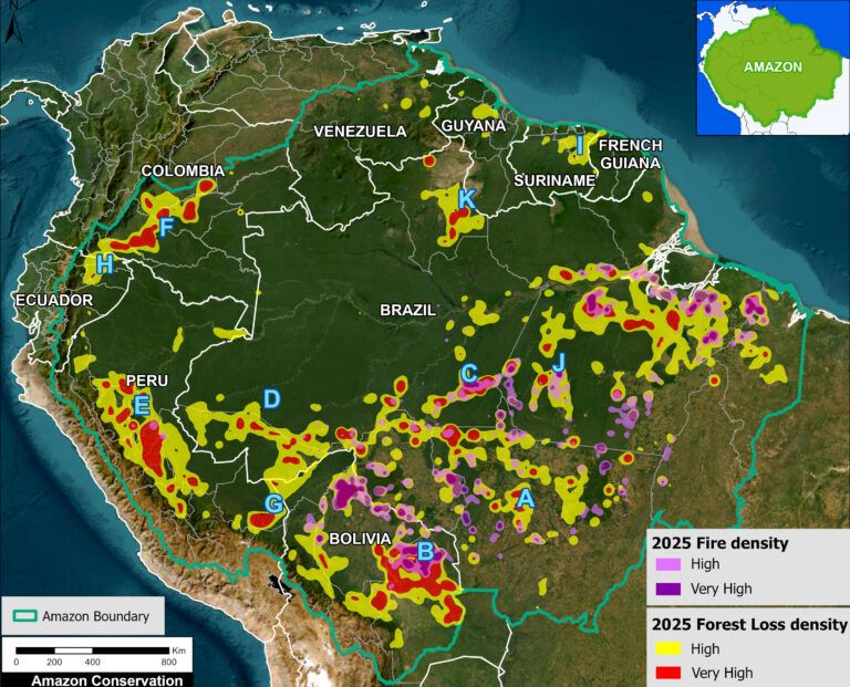 maap-244-amazon-deforestation-fire-hotspots-2025-maap